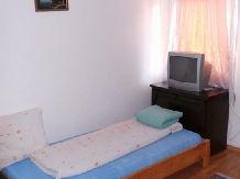 Pensiunea Raul - accommodation in  Oasului Country, Maramures Country (15)