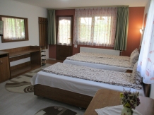 Pensiunea Napraforgo - accommodation in  Harghita Covasna, Sovata - Praid (30)