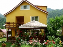 Pensiunea Deny - accommodation in  Moldova (10)
