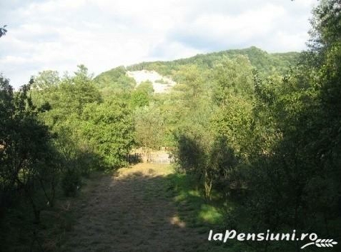 Pensiunea cu Flori - accommodation in  Fagaras and nearby, Transfagarasan (Surrounding)
