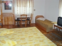 Casa Madalina - accommodation in  Fagaras and nearby, Transfagarasan (05)
