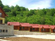 Pensiunea Patrimara - accommodation in  Apuseni Mountains (13)