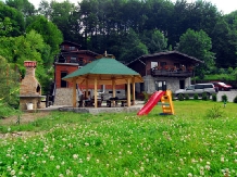 Pensiunea Naparis - accommodation in  Muntenia (10)