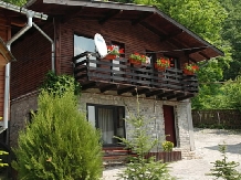 Pensiunea Naparis - accommodation in  Muntenia (11)