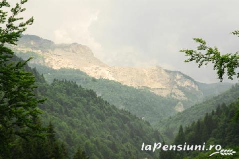 Pensiunea Naparis - accommodation in  Muntenia (Surrounding)