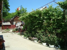 Casa Coca - alloggio in  Slanic Moldova (05)
