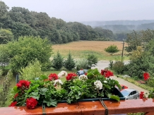 Pensiunea Panorama - accommodation in  Transylvania (03)
