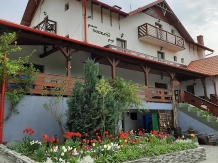 Pensiunea Panorama - alloggio in  Transilvania (20)