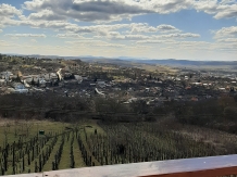 Pensiunea Panorama - alloggio in  Transilvania (23)