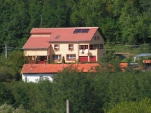 Pensiunea Blue Eyes - accommodation in  Danube Boilers and Gorge, Clisura Dunarii (01)