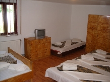 Pensiunea Alina si Sorin - accommodation in  Danube Boilers and Gorge, Clisura Dunarii (10)