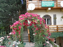 Pensiunea Calina - accommodation in  Moldova (05)