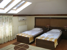 Vila Danielle - accommodation in  Moldova (09)