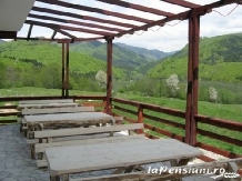 Pensiunea Valea Doamnei - accommodation in  Fagaras and nearby, Muscelului Country (05)