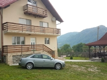 Pensiunea Sus in Deal - accommodation in  Fagaras and nearby, Transfagarasan (01)