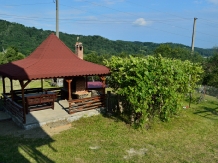 Pensiunea Sus in Deal - accommodation in  Fagaras and nearby, Transfagarasan (02)