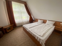 Pensiunea Casa Vinga - accommodation in  Brasov Depression (09)