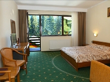 Casa Viorel - accommodation in  Brasov Depression (09)