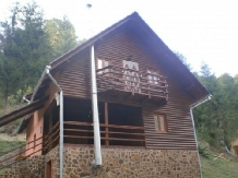 Cabana Ronela - accommodation in  Apuseni Mountains, Motilor Country, Arieseni (07)