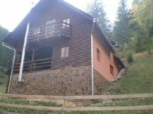 Cabana Ronela - accommodation in  Apuseni Mountains, Motilor Country, Arieseni (12)
