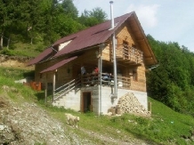 Cabana Ronela - accommodation in  Apuseni Mountains, Motilor Country, Arieseni (19)