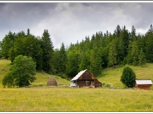 Pensiunea Scarisoara - accommodation in  Apuseni Mountains, Motilor Country, Arieseni (18)
