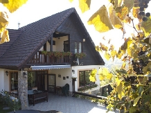 Casa din Vale - accommodation in  Sibiu Surroundings (15)