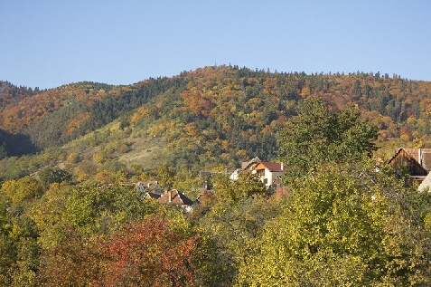 Casa din Vale - alloggio in  Dintorni di Sibiu (Attivit&agrave; e i dintorni)