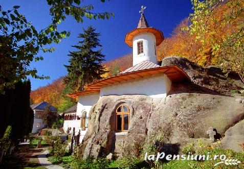 Pensiunea Amada - accommodation in  Muscelului Country (Surrounding)
