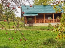 Pensiunea Piscul Soarelui - accommodation in  Muscelului Country (36)
