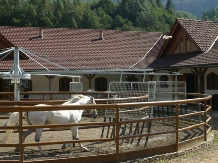 Pensiunea Popasul Craiului - accommodation in  Rucar - Bran, Piatra Craiului, Rasnov (03)