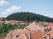 Pensiunea Bilcu House - accommodation in  Sibiu Surroundings, Transalpina (15)