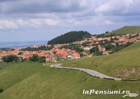 Pensiunea Bilcu House - accommodation in  Sibiu Surroundings, Transalpina (Surrounding)