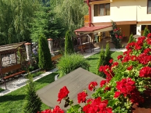 Pensiunea Cuibul Viselor - accommodation in  Cernei Valley, Herculane (06)