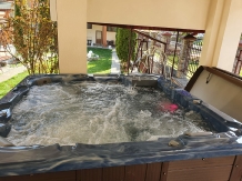 Pensiunea Cuibul Viselor - accommodation in  Cernei Valley, Herculane (57)