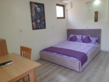 Pensiunea Cuibul Viselor - accommodation in  Cernei Valley, Herculane (62)