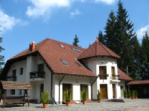Vila Daria - accommodation in  Brasov Depression (01)