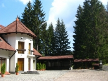 Vila Daria - alloggio in  Vallata di Brasov (04)
