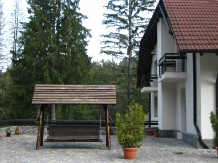 Vila Daria - accommodation in  Brasov Depression (06)