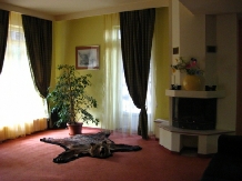 Vila Daria - accommodation in  Brasov Depression (09)