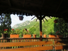 Pensiunea Sandra - accommodation in  Cernei Valley, Herculane (14)