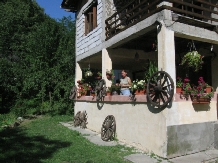 Vila Coiful de Aur - alloggio in  Slanic Prahova (19)