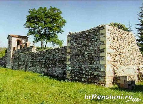 Pensiunea Matrix - accommodation in  Fagaras and nearby, Muscelului Country (Surrounding)