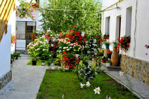 Pensiunea Ruxi - accommodation in  Fagaras and nearby, Muscelului Country (Surrounding)
