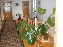 Pensiunea Dochia - accommodation in  Ceahlau Bicaz, Durau (08)