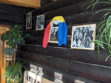 Pensiunea Iubu - accommodation in  Apuseni Mountains, Valea Draganului (12)