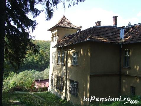 Pensiunea Iubu - accommodation in  Apuseni Mountains, Valea Draganului (Surrounding)