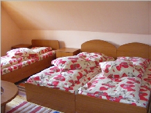 Pensiunea Printul Vlad - accommodation in  Sibiu Surroundings (10)