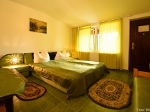 Pensiunea Belvedere - accommodation in  Hateg Country (14)