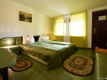 Pensiunea Belvedere - accommodation in  Hateg Country (15)